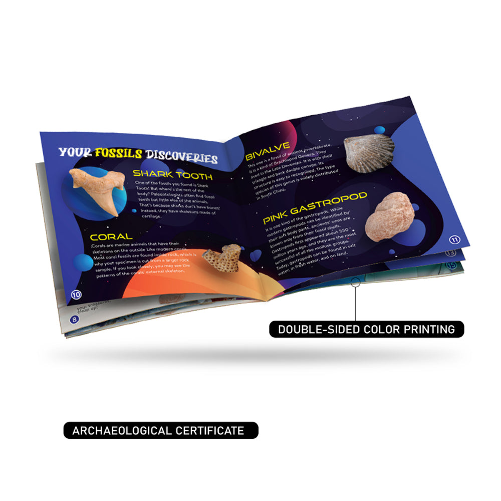 Kaper Kidz Planet Xplore Earth Big Treasures Dig/Excavation Site Science Kit 6y+ — image 3