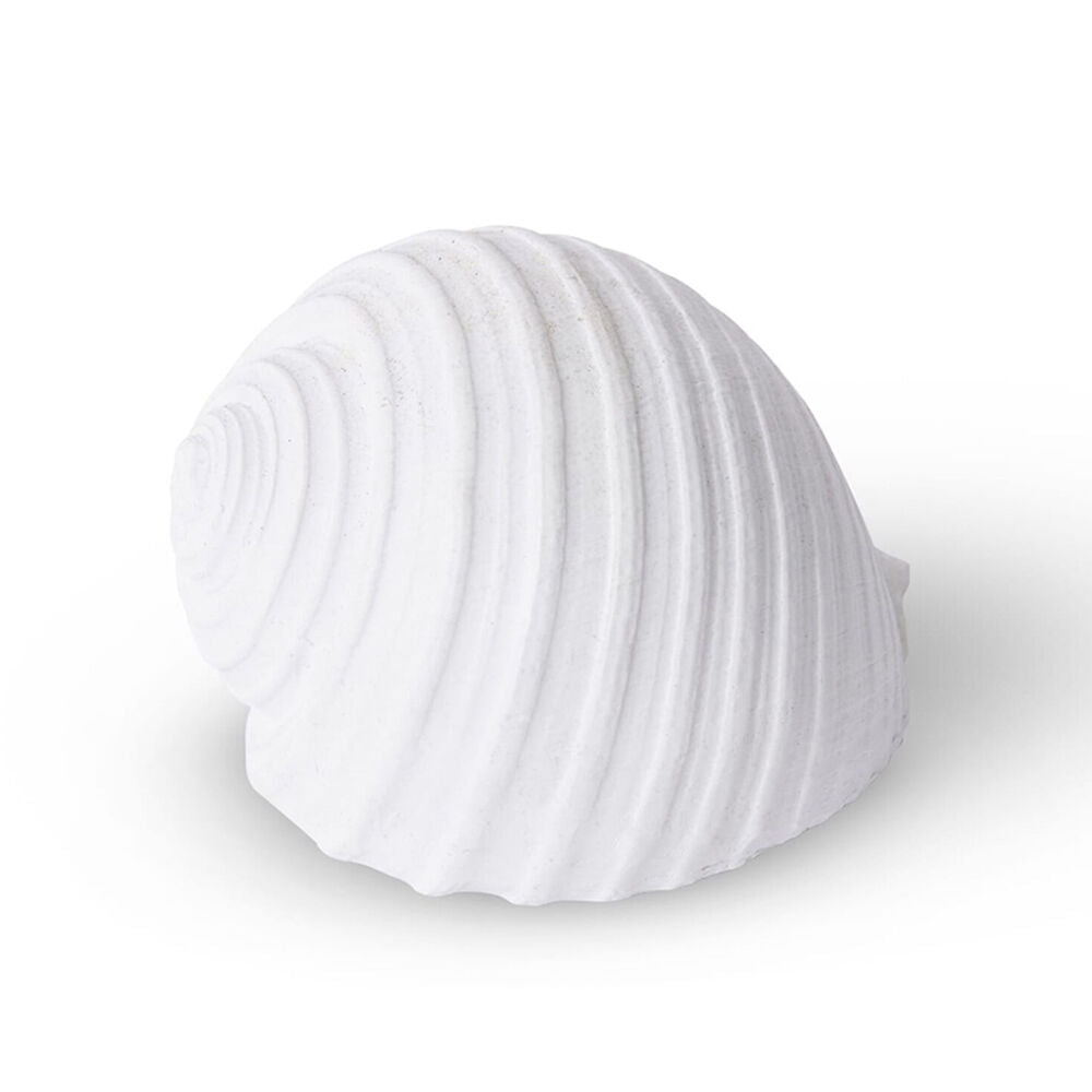 E Style Shell Moon Snail Sculpture Ornament Tabletop Home Decor 11cm White