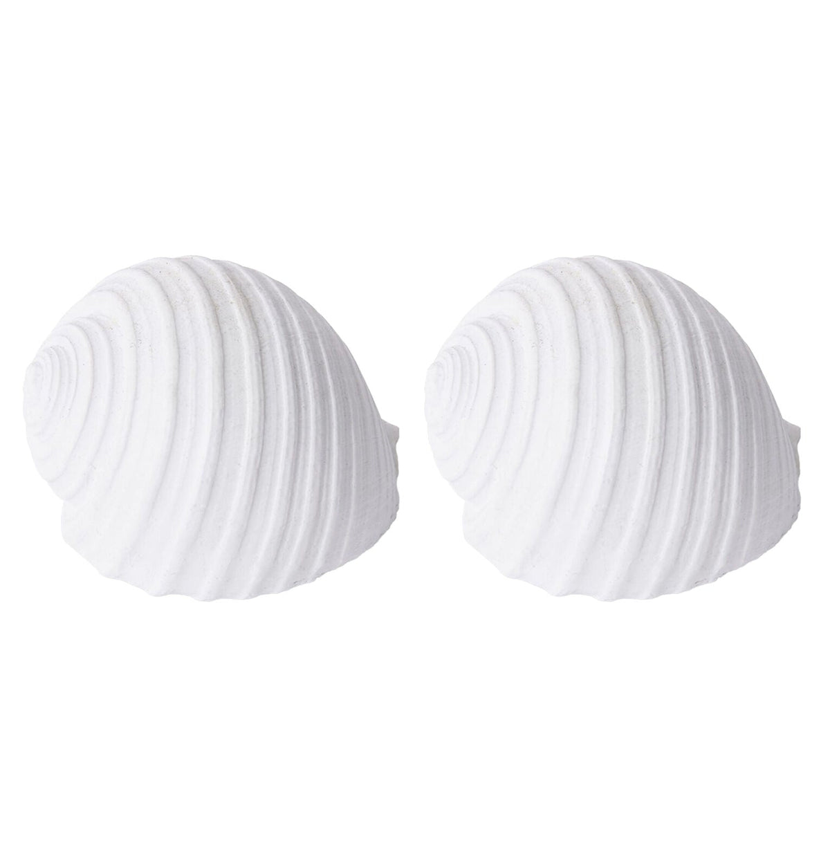 E Style Shell Moon Snail Sculpture Ornament Tabletop Home Decor 11cm White (2 Pack)