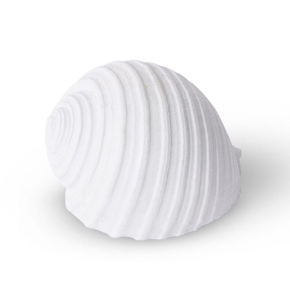 E Style Shell Moon Snail Sculpture Ornament Tabletop Home Decor 11cm White (2 Pack) — image 2