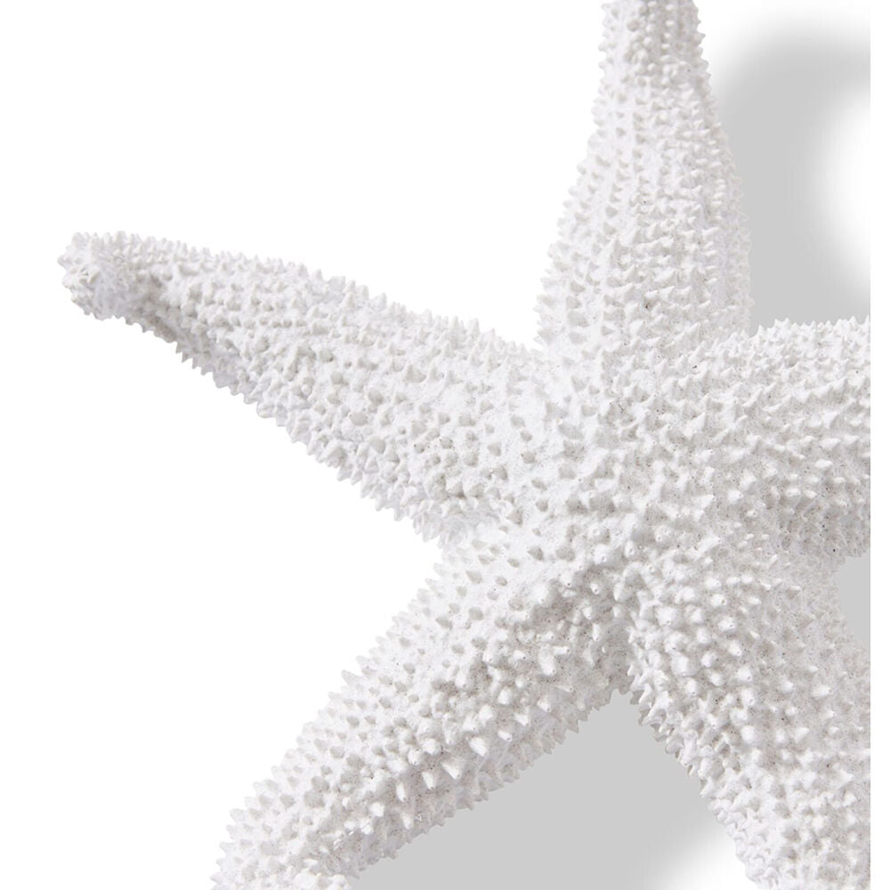 E Style Starfish Ochre Sculpture Ornament Tabletop Home Decor 24cm White — image 2