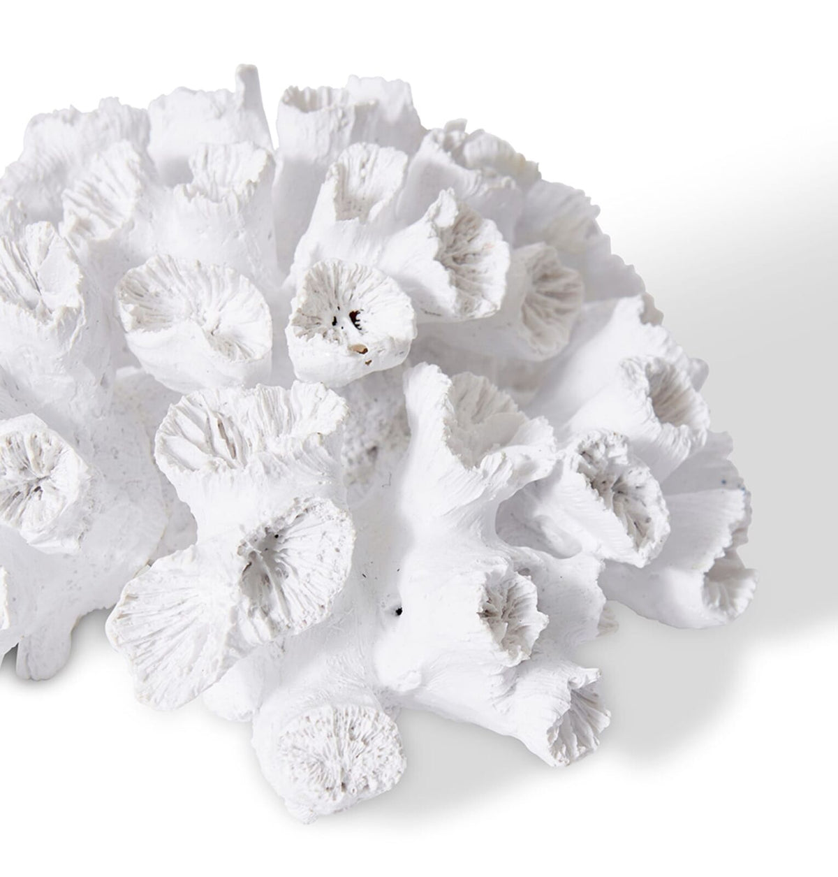 E Style Coral Flower Decorative Display Polyresin Tabletop Decor 20x9cm White — image 2