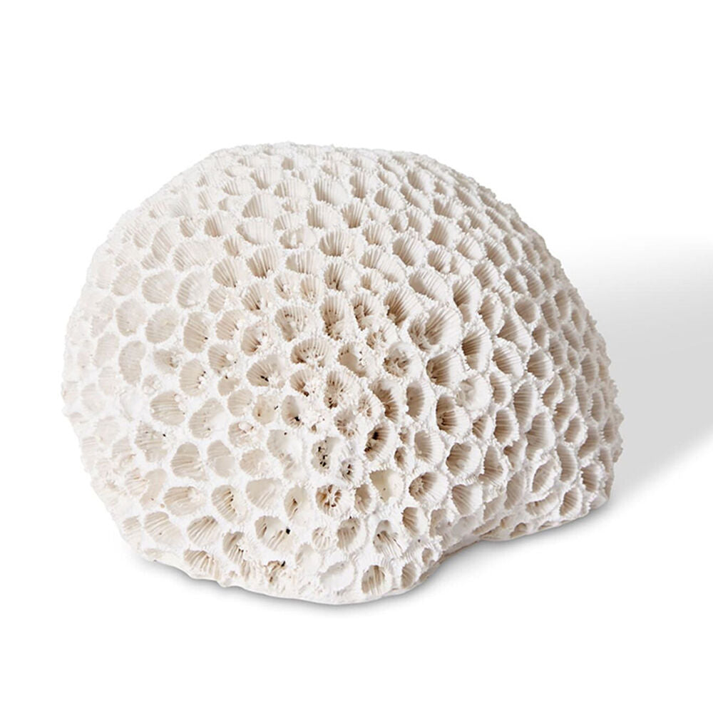E Style Coral Brain Decorative Display Polyresin Tabletop Decor 16x13cm White