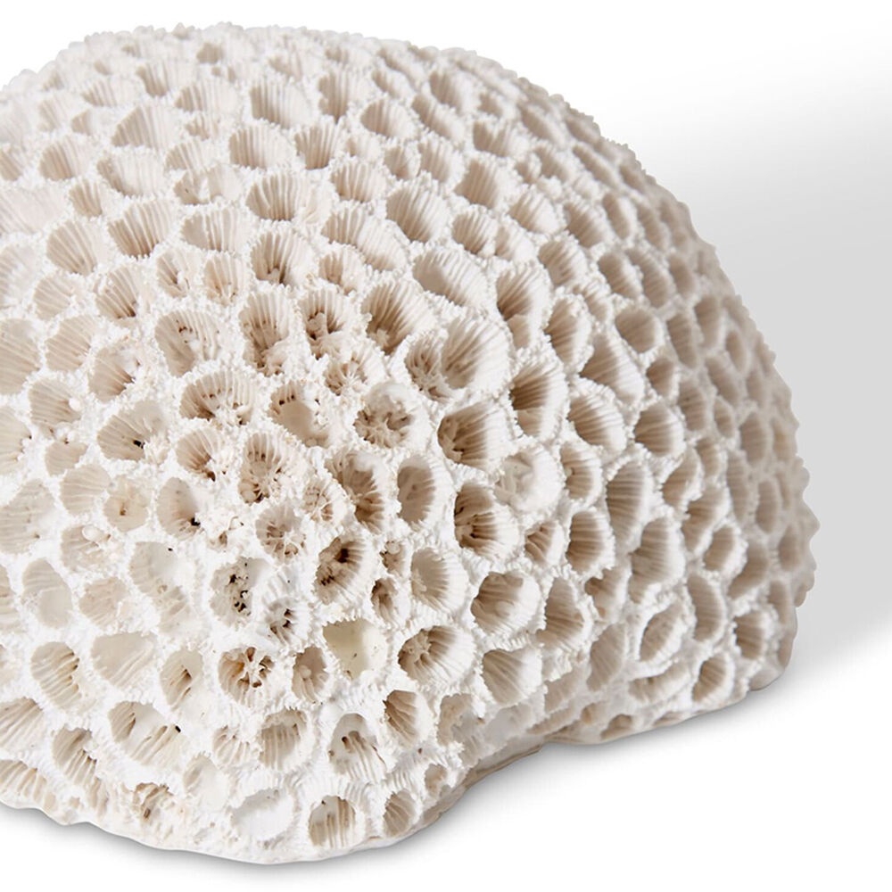 E Style Coral Brain Decorative Display Polyresin Tabletop Decor 16x13cm White — image 2