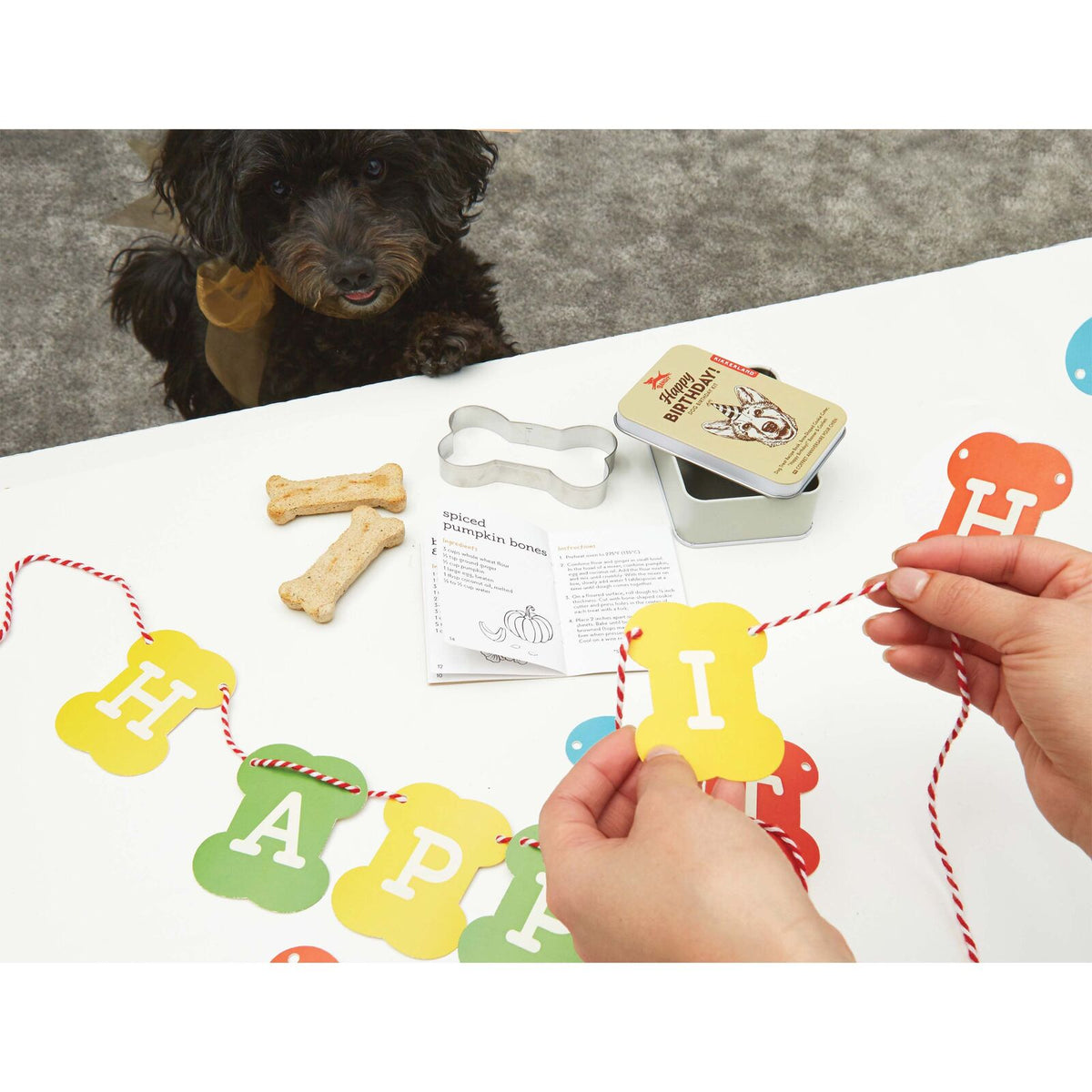 Kikkerland 10.3cm Kobe Dog Birthday/Celebration Kit Hat/Banner/Cookie Cutter Set — image 2