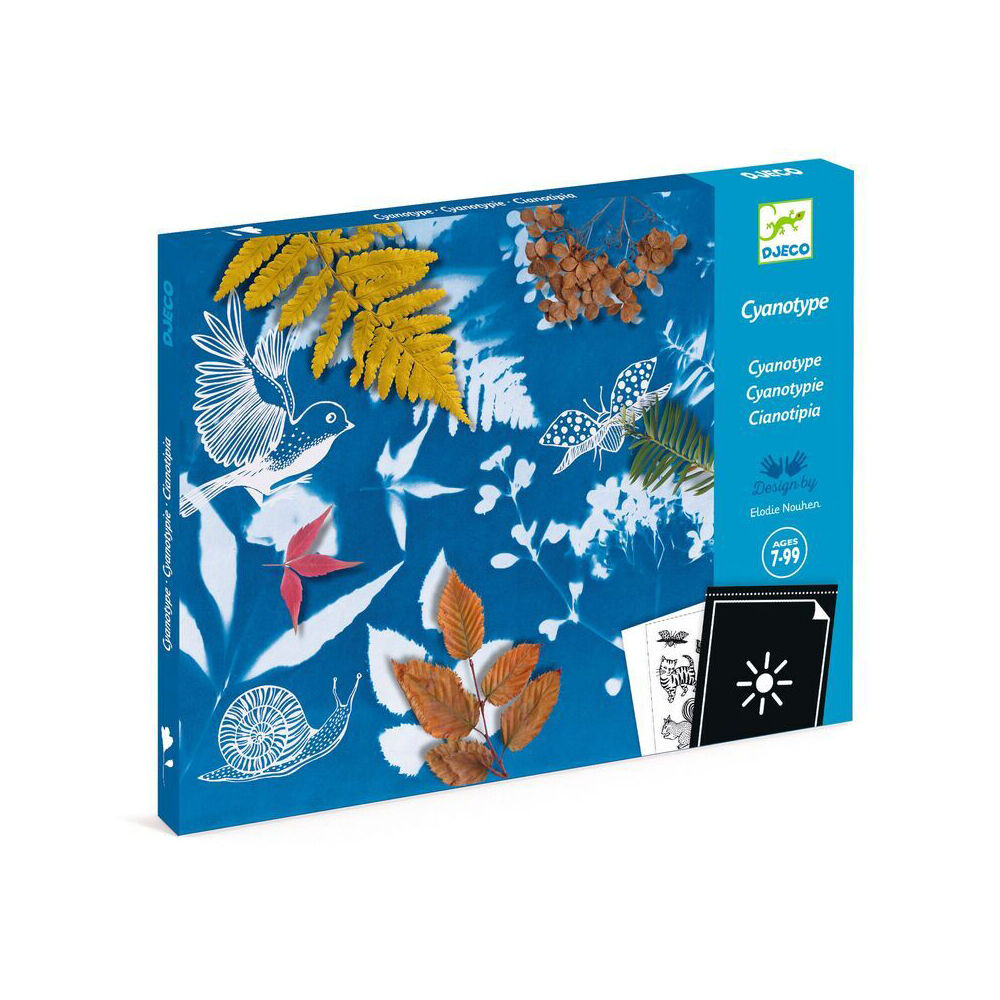 Djeco Cyanotype Starter Kit Kids/Children Creative Craft/Art Activity Kit 7y+