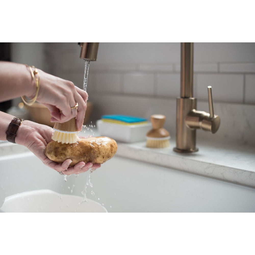 Full Circle Plastic Eye Removing Potato Scrubber Kitchen Cleaning Brush White — image 5