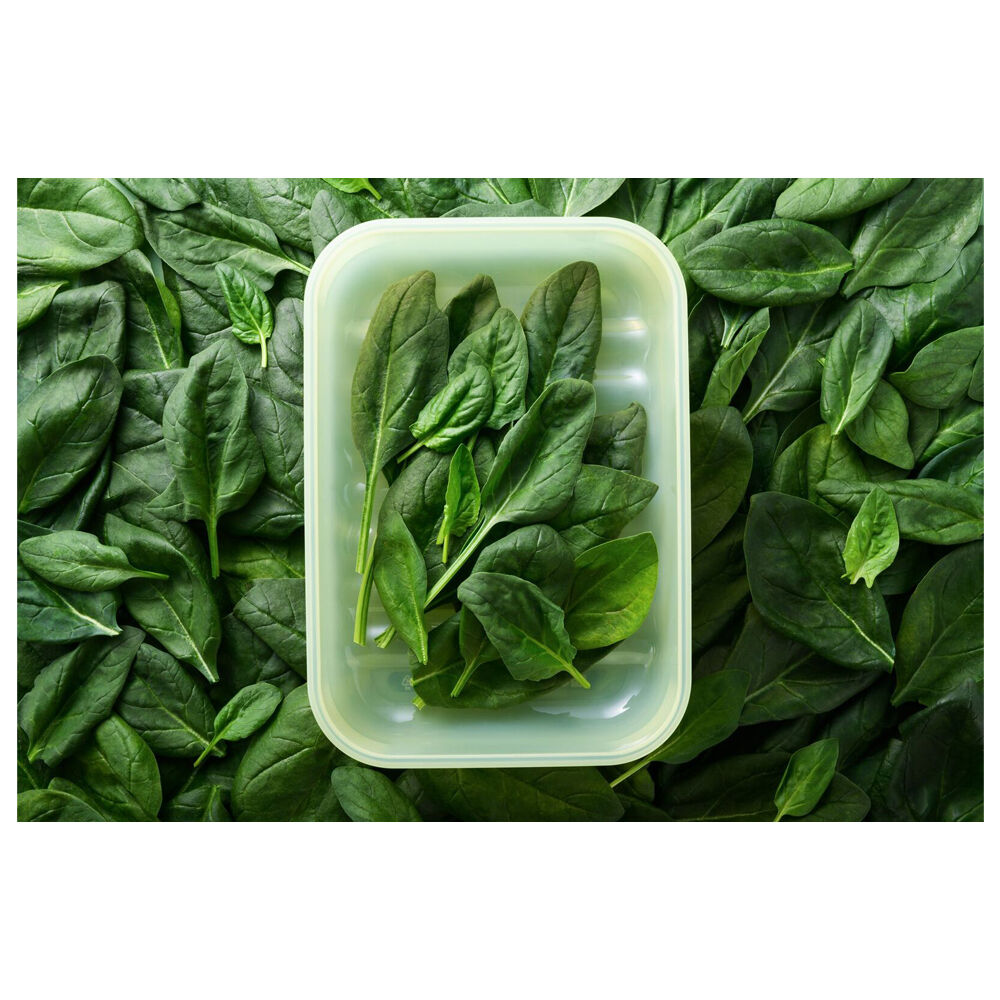 Wahu LocknLock Fresh Block 330ml Food Storage Container Set 14.6x10.3cm Green (2 Pieces) — image 5