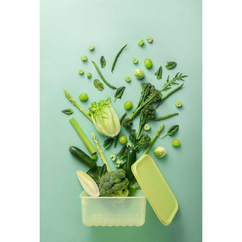 Wahu LocknLock Fresh Block 640ml Food Storage Container Set 14.6x10.3cm Green (2 Pieces) — image 5
