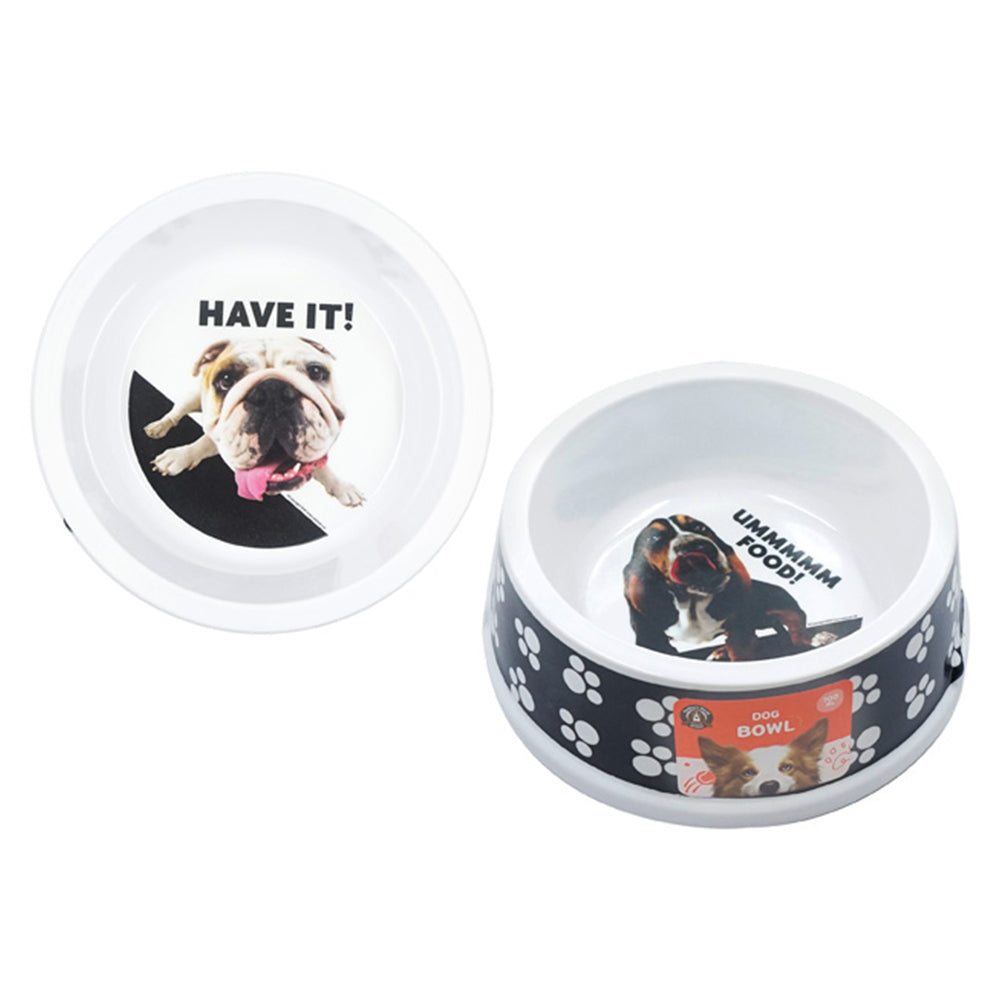 Dudley's World of Pets Comical Dog Feeding Food Water Bowl Assorted Set