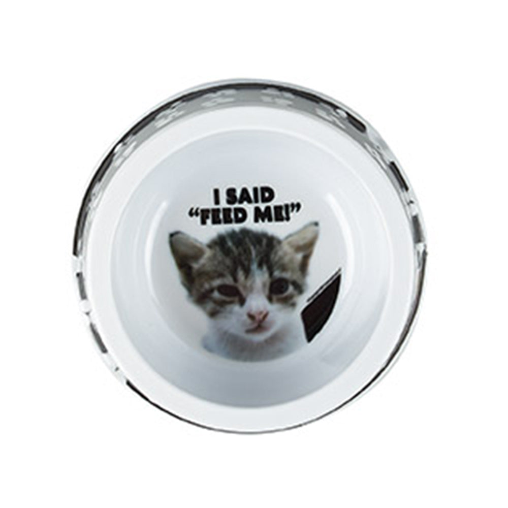 Dudley's World of Pets Comical Cat Pet Feeding Food Water Bowl Assorted