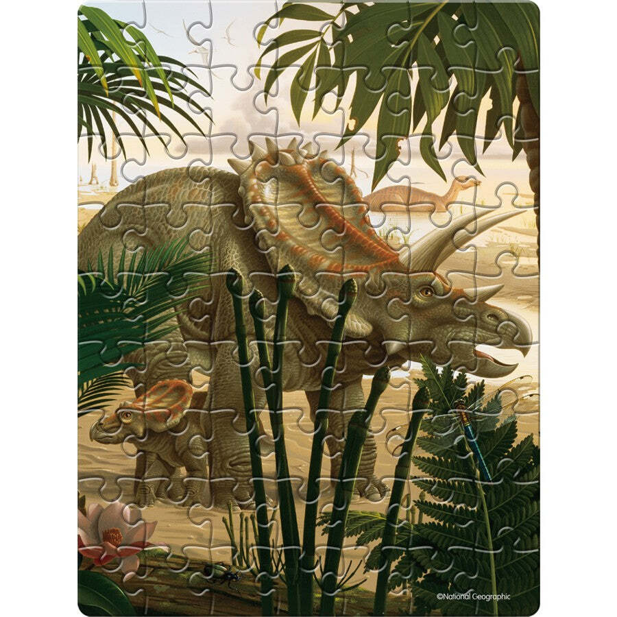 National Geographic 18x24cm Jigsaw Dino Puzzle Egg Tin Assorted Kids Toy 5+ (63 Pieces) — image 7
