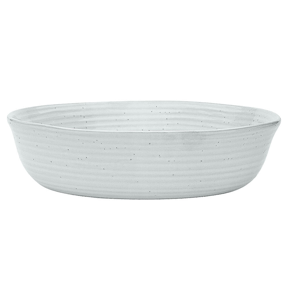 Ecology Ottawa Lichen 22cm Stoneware Dinner Bowl Noodle/Soup Rice Dish Grey