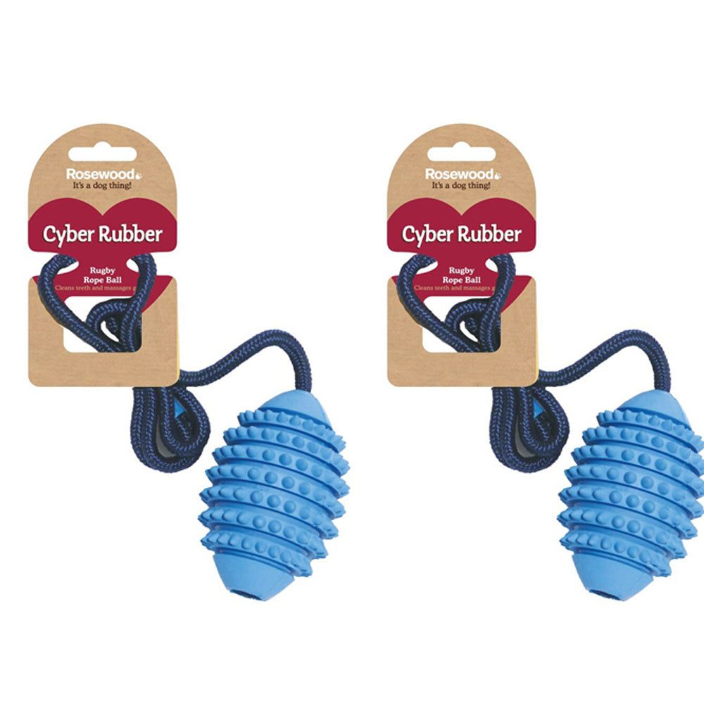Rosewood 70cm Rugby Ball/Rope Pet Dog Non-Toxic Training Toy Medium Assorted (2 Pack)