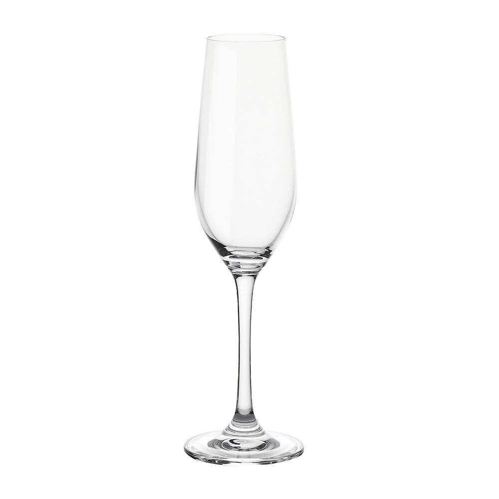 Stanley Rogers 235ml Tamar Champagne Drinking Wine Flute Tall Glass Set (6 Pieces)