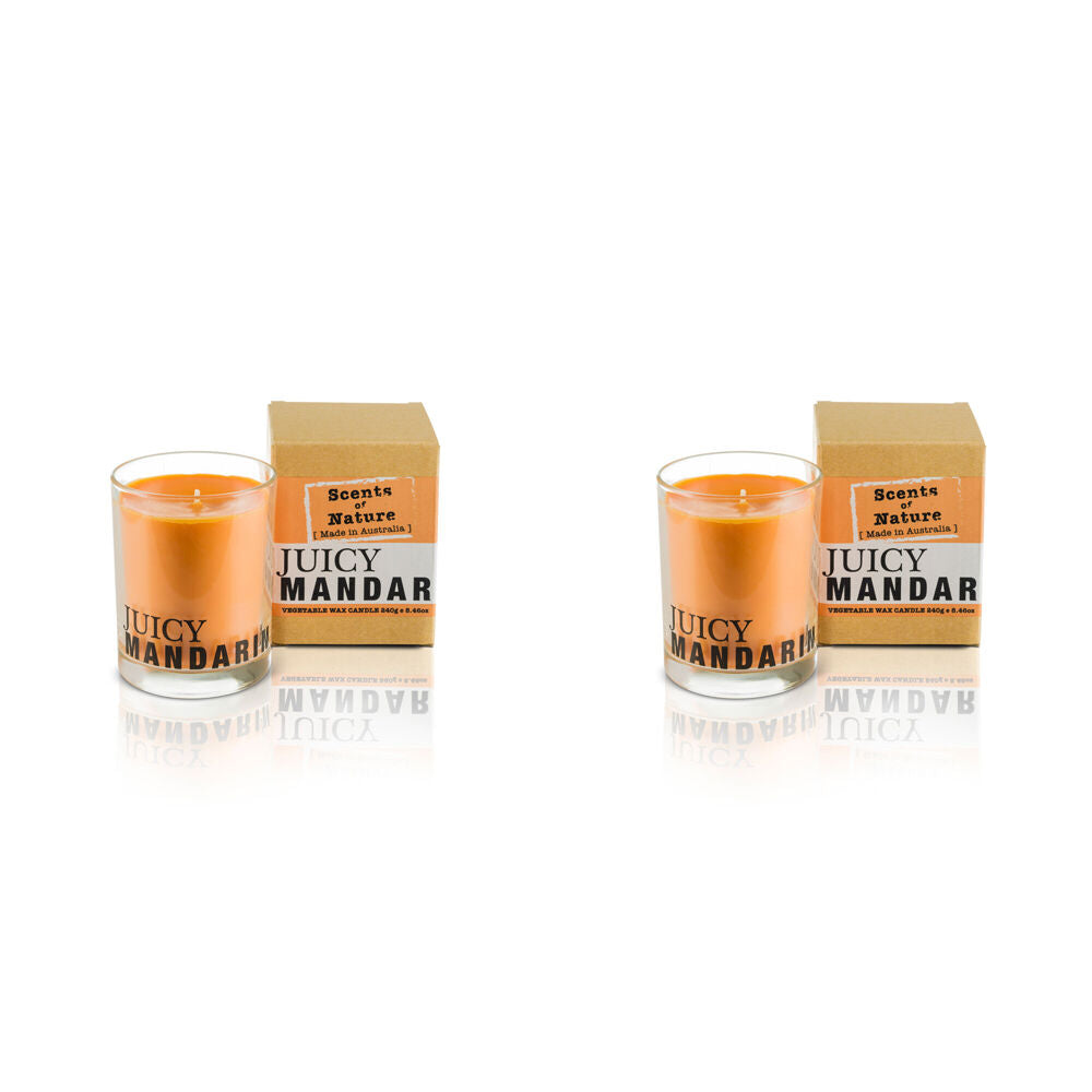 Scents of Nature Juicy Mandarin Soy Candle Scented 240g (2 Pack)