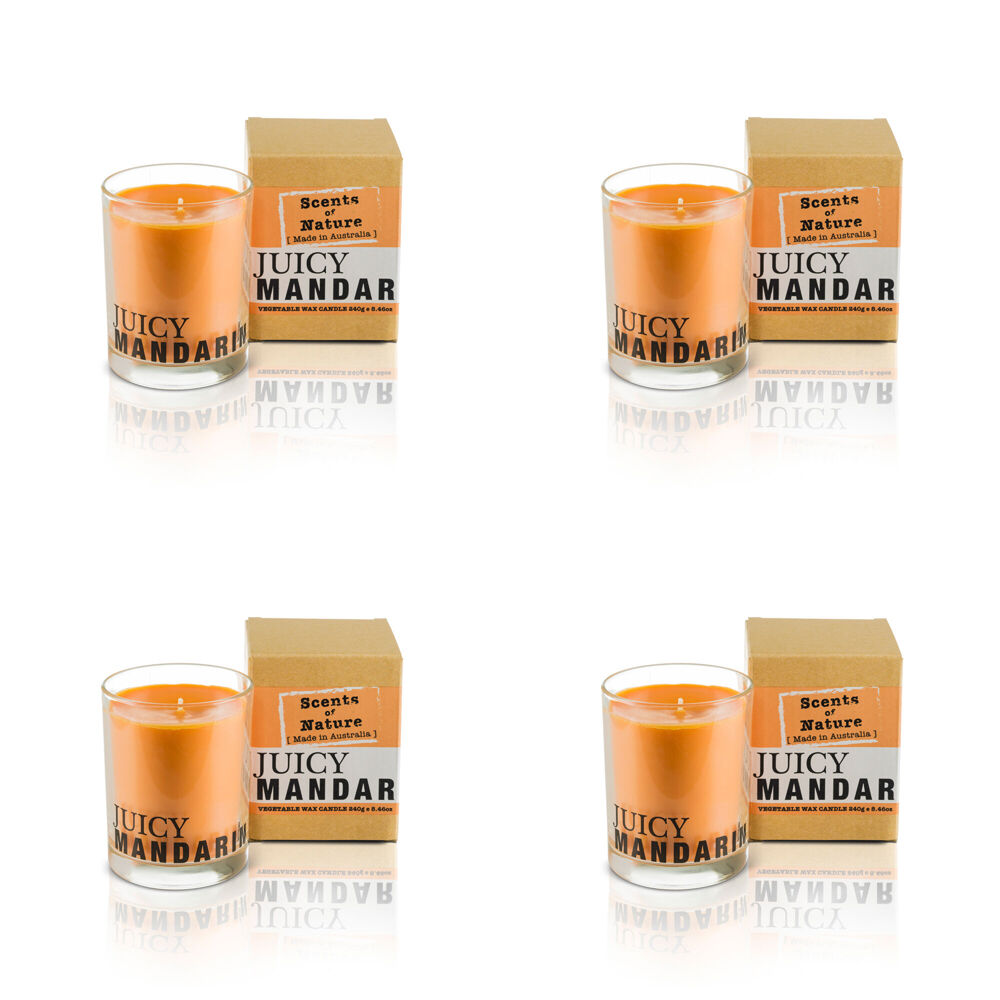 Scents of Nature Juicy Mandarin Soy Candle Scented 240g (4 Pack)