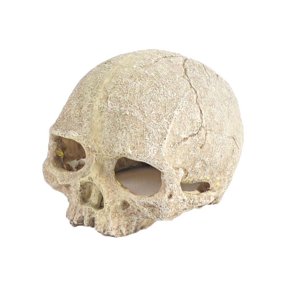 Dudley's World of Pets Skull Aquarium/Fish Tank Resin Decoration Ornament