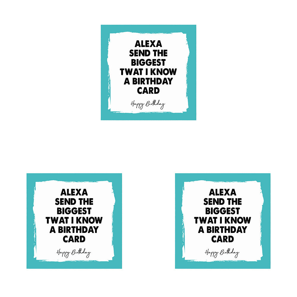 Filthy Sentiments Filthy Sentiment Birthday Alexa Blank Greeting Card w/White Envelope 14x14cm (3 Pack)