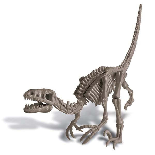 4M KidzLabs Dig a Dinosaur Velociraptor Hidden Bones Kids Fun Learning Toy 8y+ — image 2