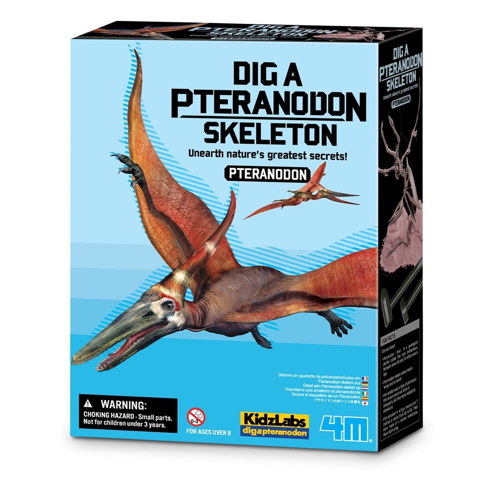 4M KidzLabs Dig a Pteranadon Skeleton Educational Kids/Toddler Activity Toy 8y+