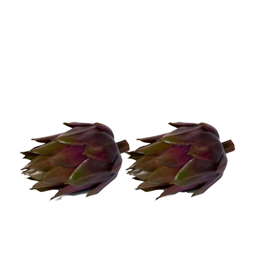 E Style 13cm Plastic Artichoke Fruit Ornament Tabletop Decor Green Brown (2 Pack)