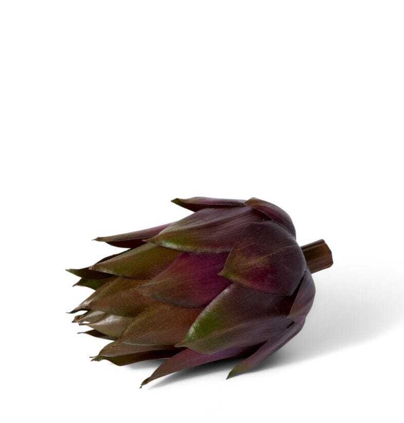 E Style 13cm Plastic Artichoke Fruit Ornament Tabletop Decor Green Brown
