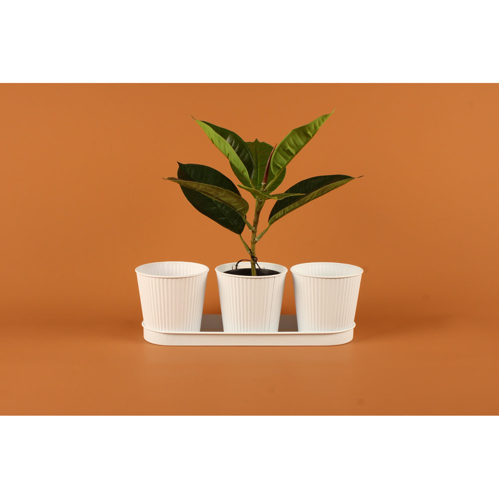 Yard Master 34cm Maja Emboss 3 Plant/Flower Pot w/ Tray Home/Garden Decor White — image 2