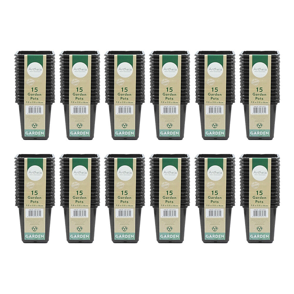 Antheia Green Homewares Plastic Square Garden Pots Small 7.5x8cm Black (180 Pieces)