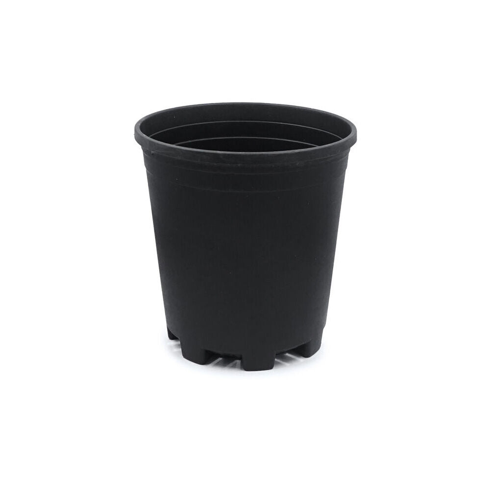 Antheia Green Homewares Growers Black Pot Plant/Flower Container Plastic 13cm — image 2