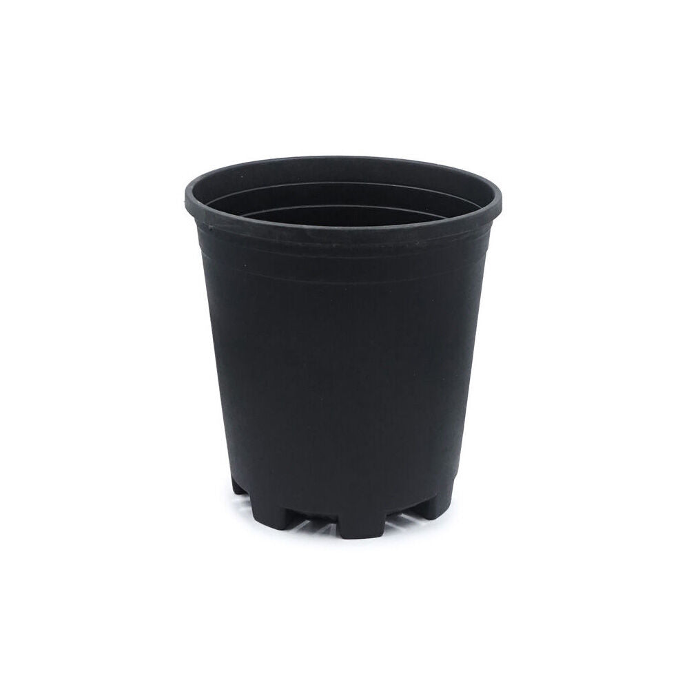Antheia Green Homewares Growers Black Pot Plant Container Plastic 22cm (24 Pack) — image 3