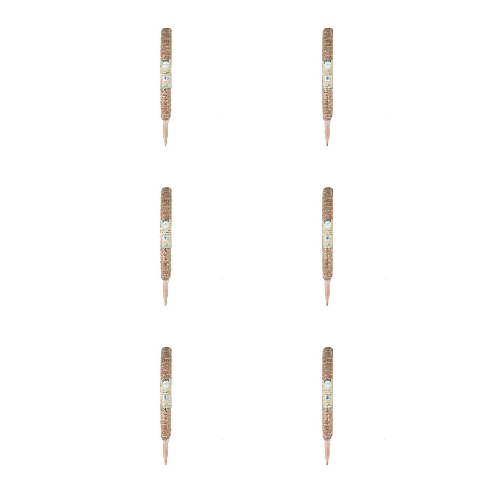 Antheia Green Homewares Coco Fibre Plant Pole 50cm (6 Pack)