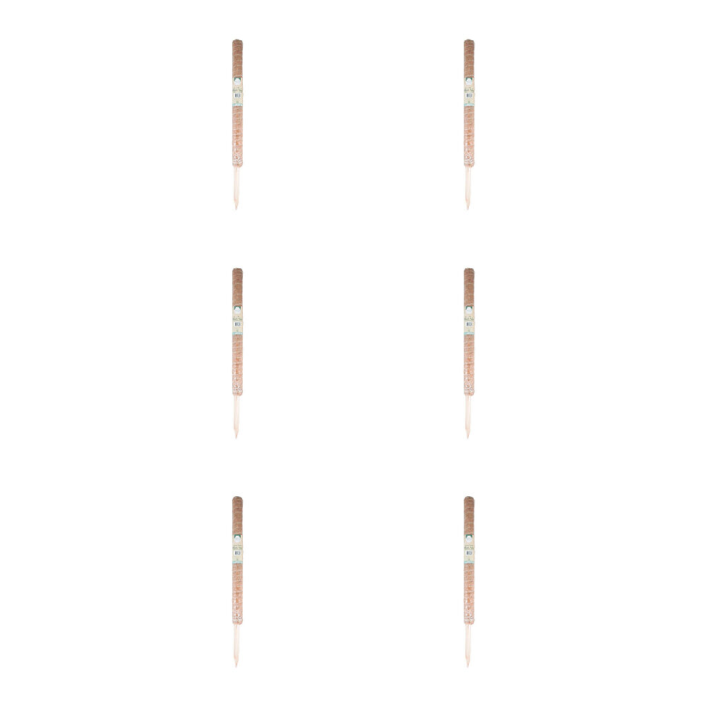 Antheia Green Homewares Coco Fibre Plant Pole 70cm (6 Pack)