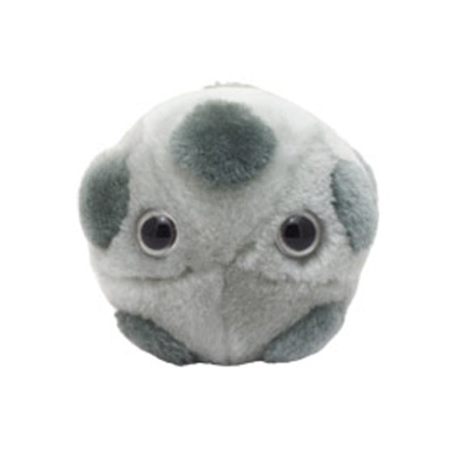 Giant Microbes HPV Infection Human Biology Soft Plush Cuddle Stuffed Toy