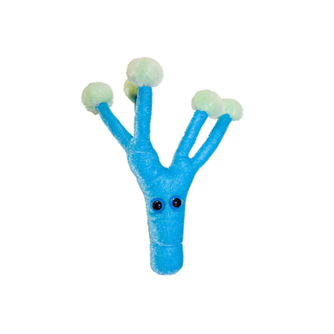Giant Microbes Penicillin Human Biology Soft Plush Cuddle Stuffed Toy Blue (2 Pack)