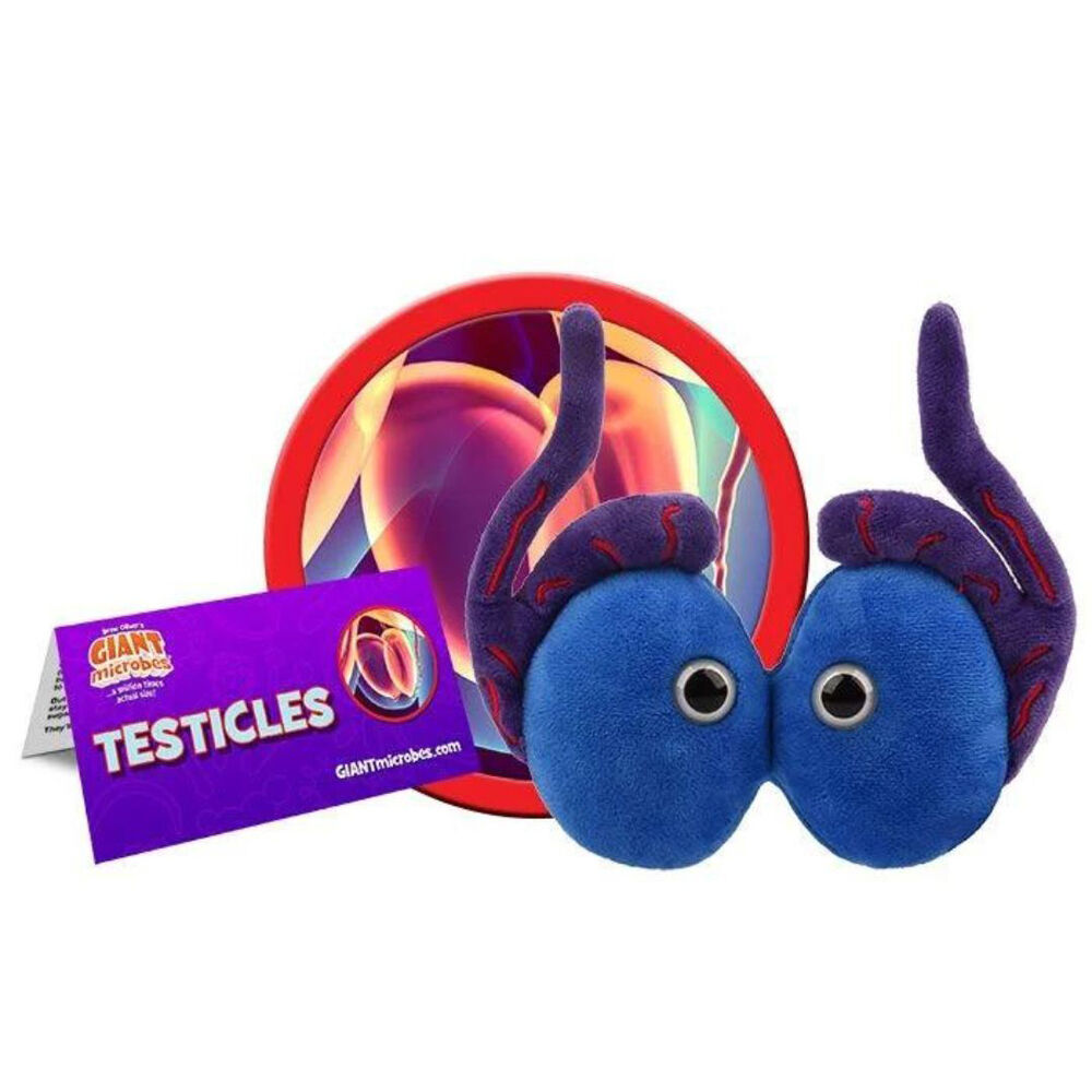 Giant Microbes Educational Stuffed Science Plush Toy Testicles Organ — image 2