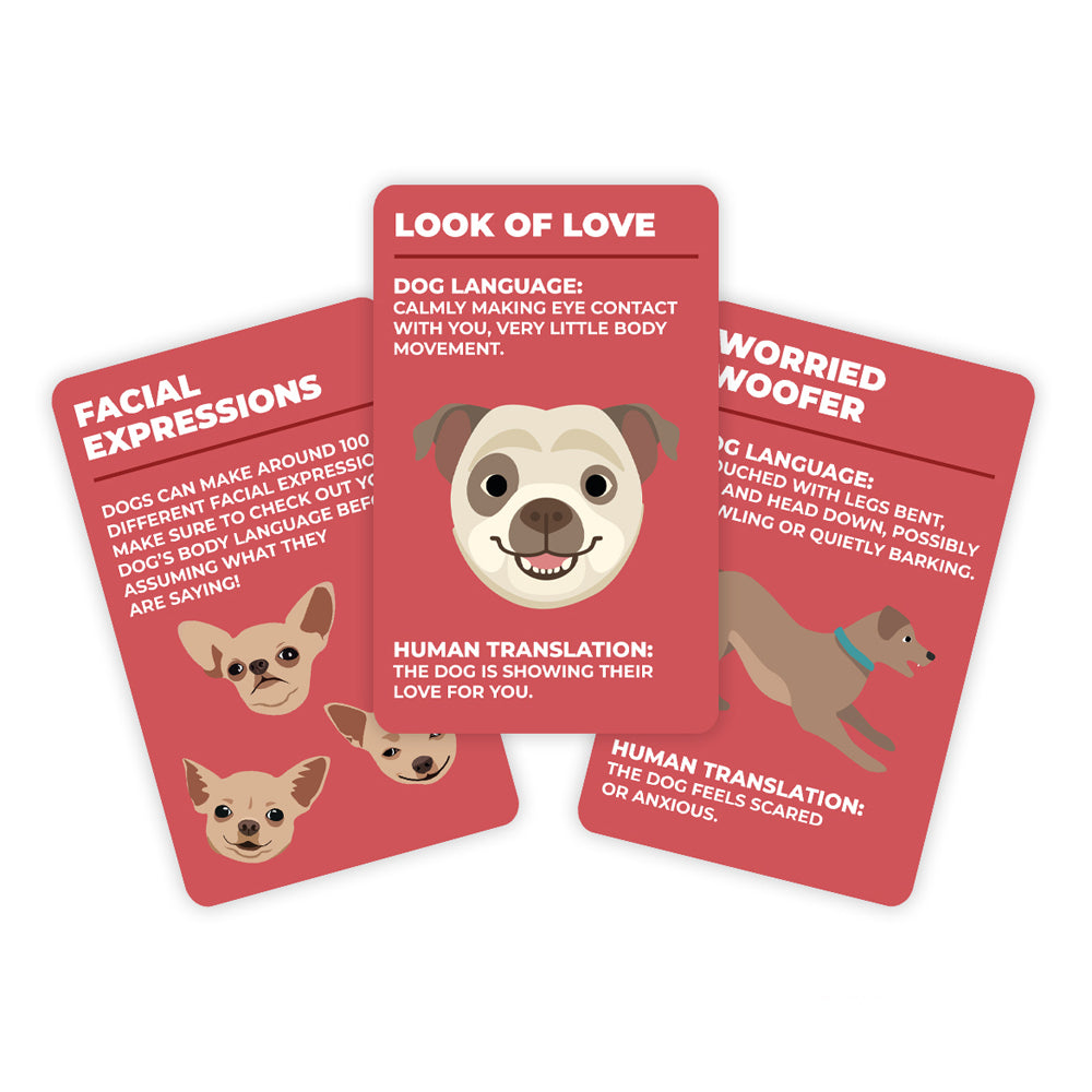 Gift Republic How to Speak Dog Language Cards Deck Trivia Party Game Set (100 Pieces) — image 3