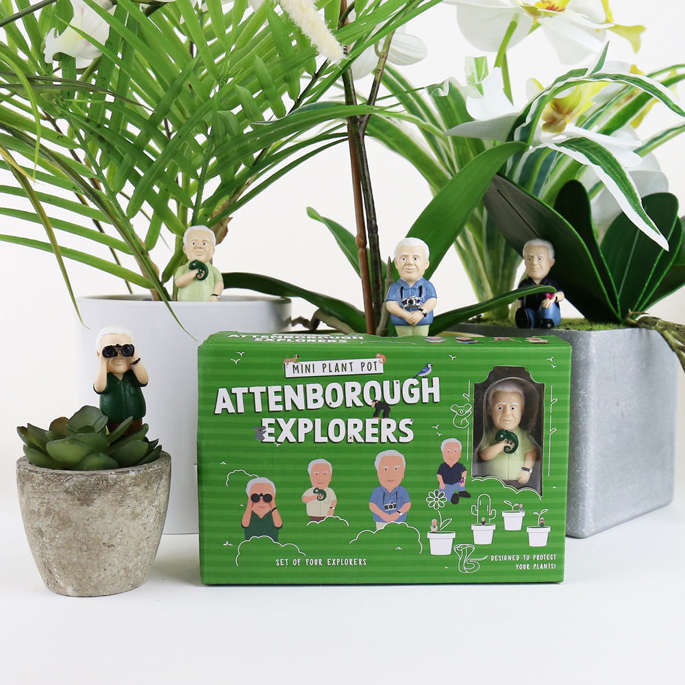 Gift Republic 14.5cm Mini Plant Pot Attenborough Explorers Statues Decor (4 Pieces) — image 5