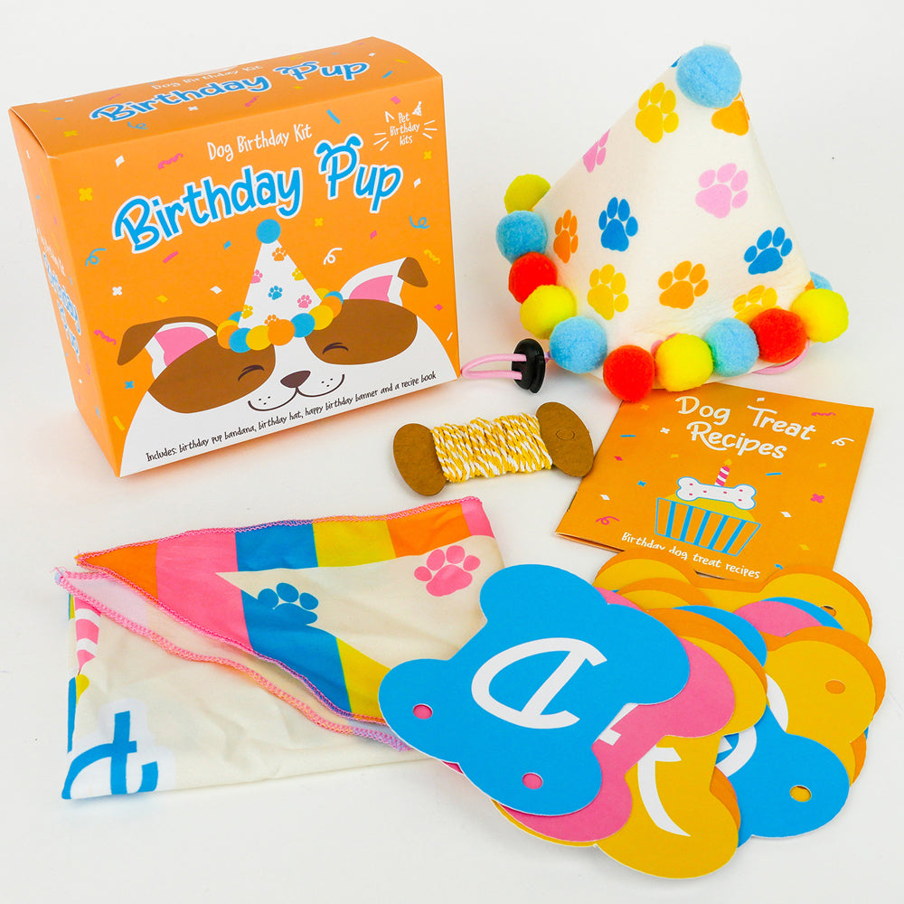 Gift Republic Pet Puppy/Dog Birthday Celebration Kit w/ Treat Recipe Book — image 3