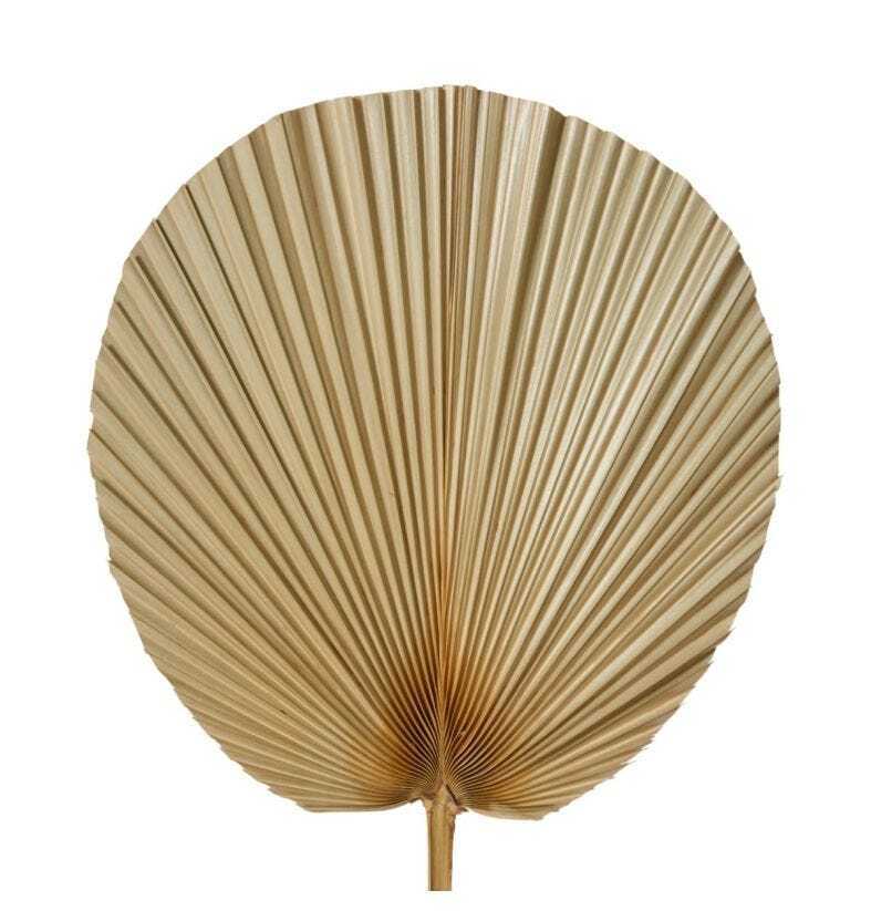 E Style Decorative 73cm Fan Palm Dried Stem Leaf Home Room Decor Natural — image 2