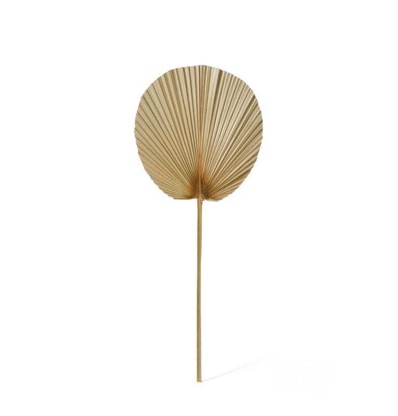 E Style Decorative 73cm Fan Palm Dried Stem Leaf Home Room Decor Natural