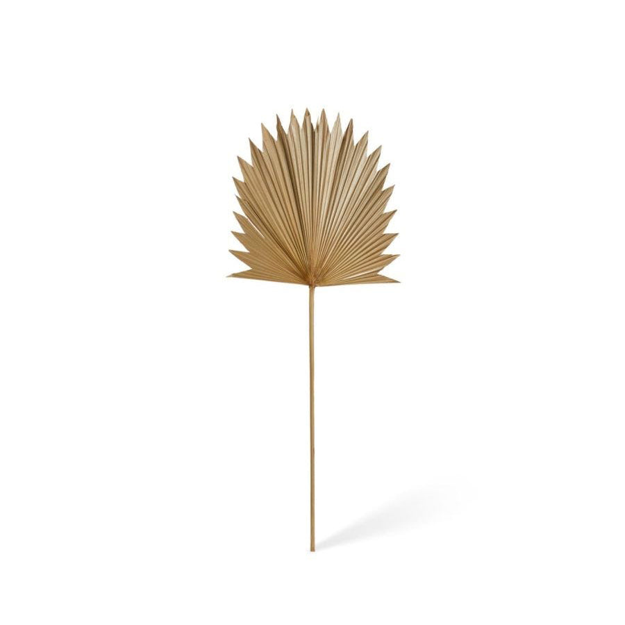 E Style Decorative 96cm Sun Fan Palm Dried Stem Home Room Decor Natural (2 Pack)
