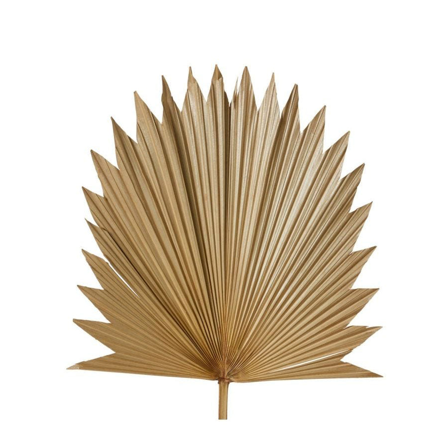 E Style Decorative 96cm Sun Fan Palm Dried Stem Home Room Decor Natural (2 Pack) — image 2