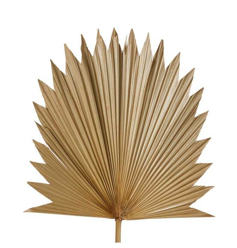 E Style Decorative 96cm Sun Fan Palm Dried Stem Home Room Decor Natural — image 2