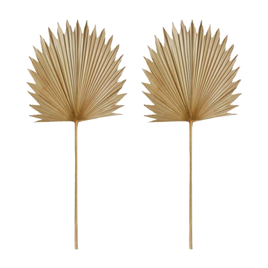 E Style Decorative 103cm Sun Fan Palm Dried Stem Home Room Decor Natural (2 Pack)