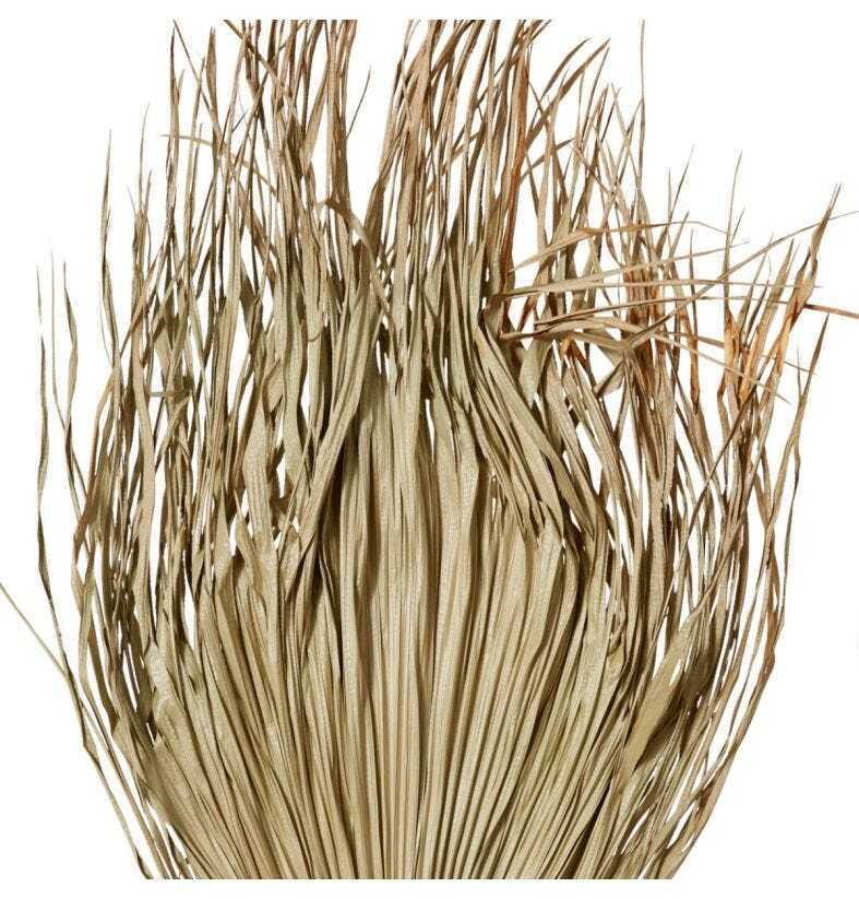 E Style Decorative 130x50cm Palm Leaf Dried Stem Home Room Decor Natural — image 2