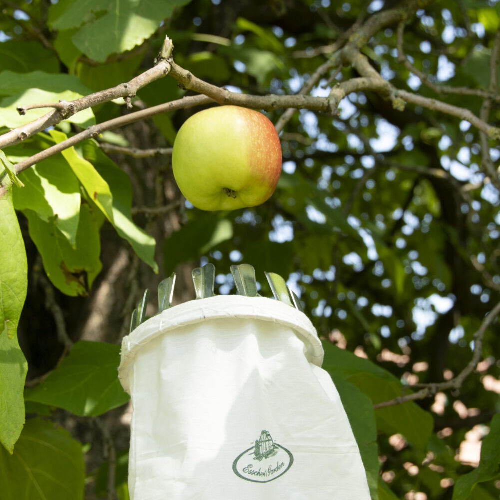 Esschert Design Fruit Picker Head Only Garden Outdoor Accessory 19.1cm Cream — image 2