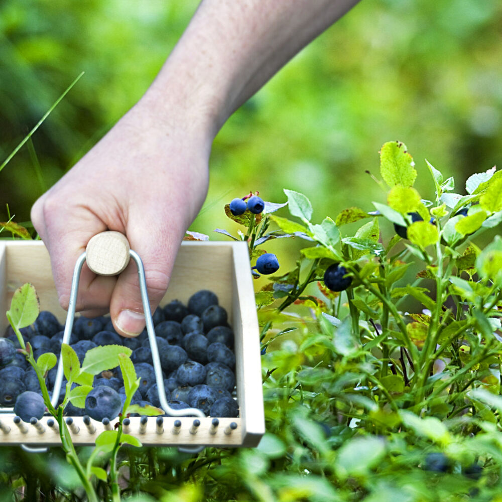 Esschert Design Berry Picker Wooden Garden Outdoor Accessory 22.3cm Natural — image 3