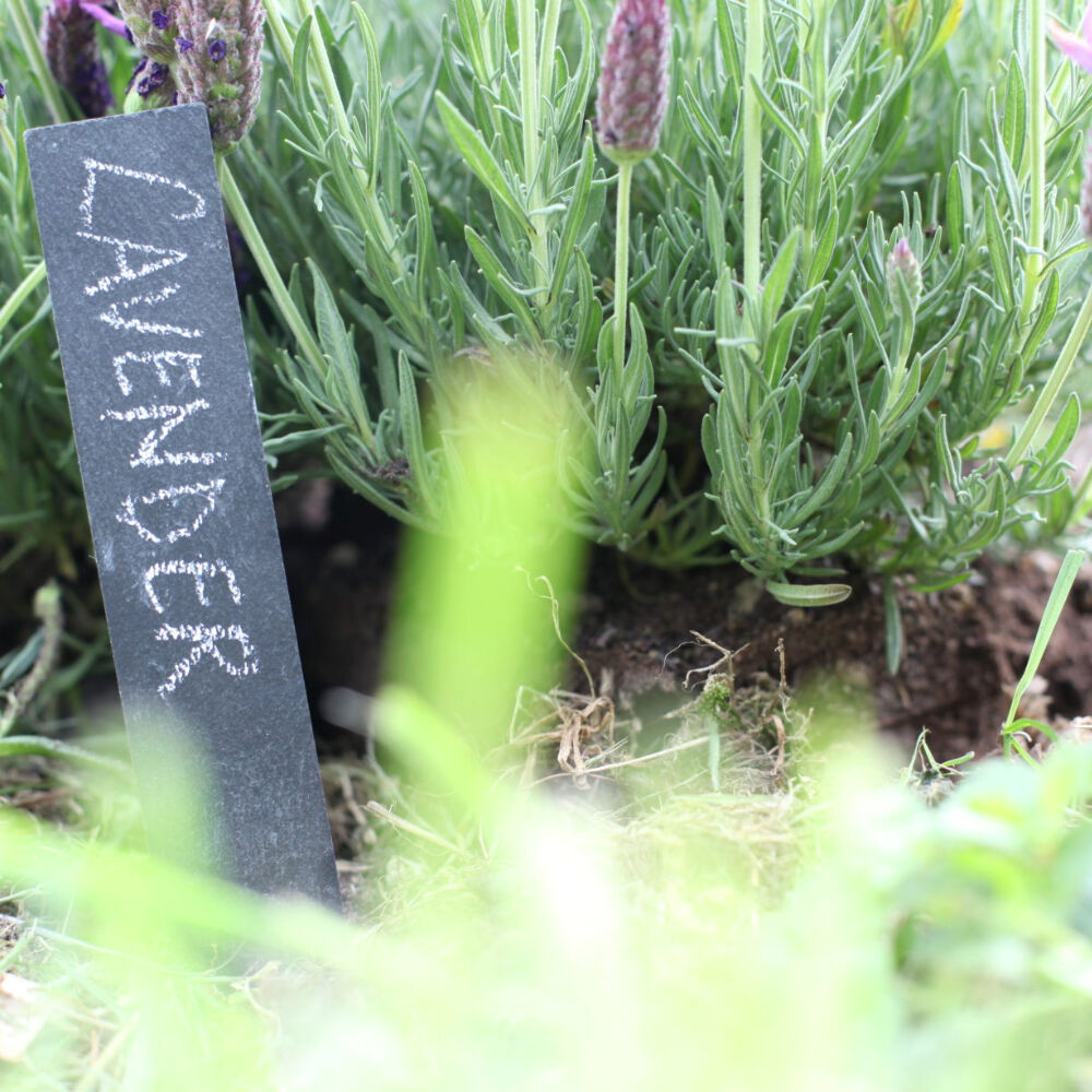 Esschert Design Plant Label Marker Slate Garden Outdoor Accessory Anthracite (6 Pieces) — image 3