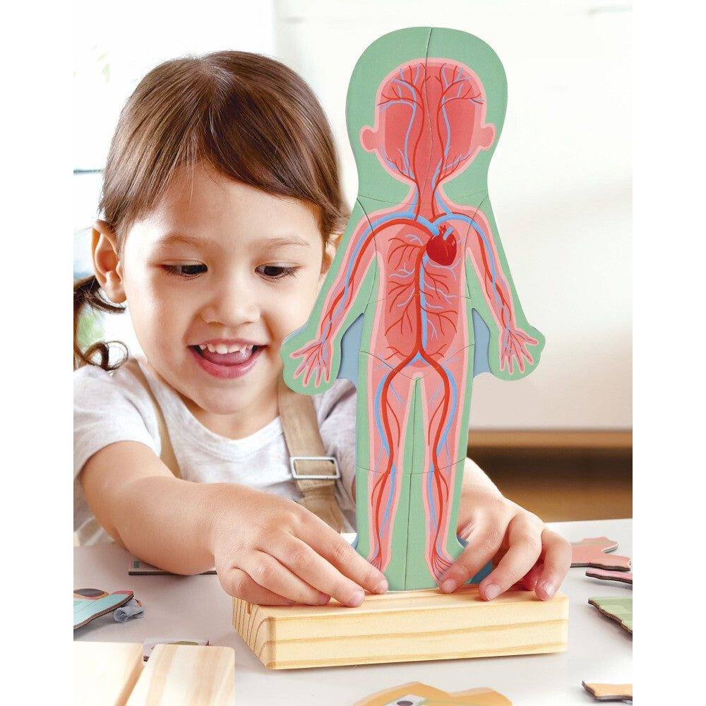 Hape Human Body Magnetic Puzzle Educational Learning Toy for Kids/Child 3Y+ — image 3